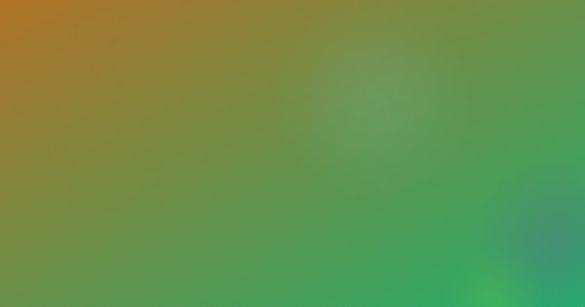 美国一级黄色大片攻略